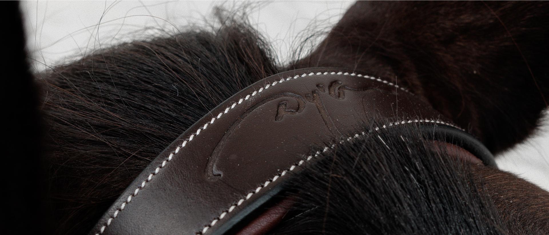 Sweat is salt. Your leather knows.